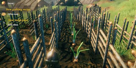 valheim onion|valheim onion plants.